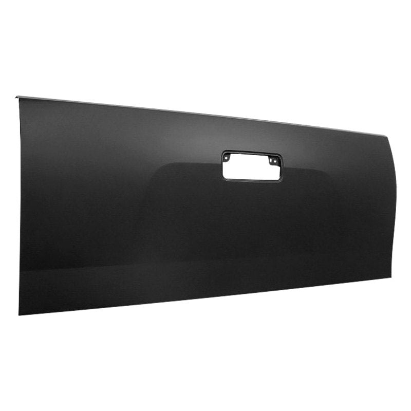 2010 Toyota Tundra : Tailgate Painted